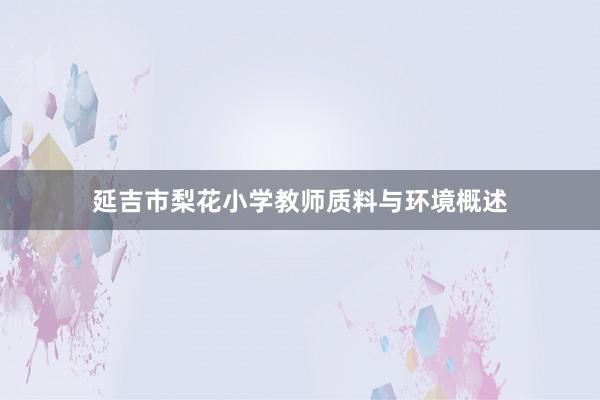 延吉市梨花小学教师质料与环境概述